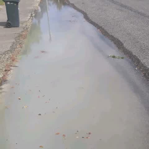 Water Supply, a report photo