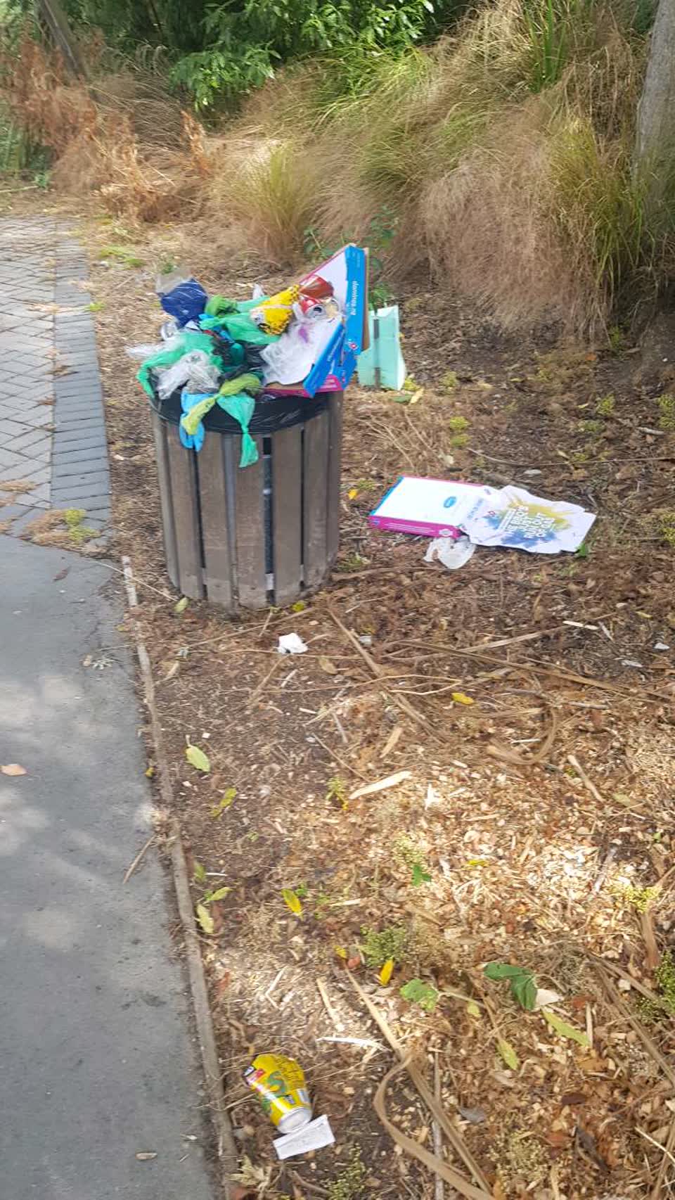 The photograph attached to this rubbish/recycling report