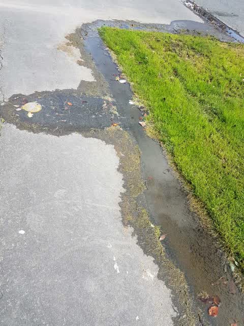 Water Supply, a report photo
