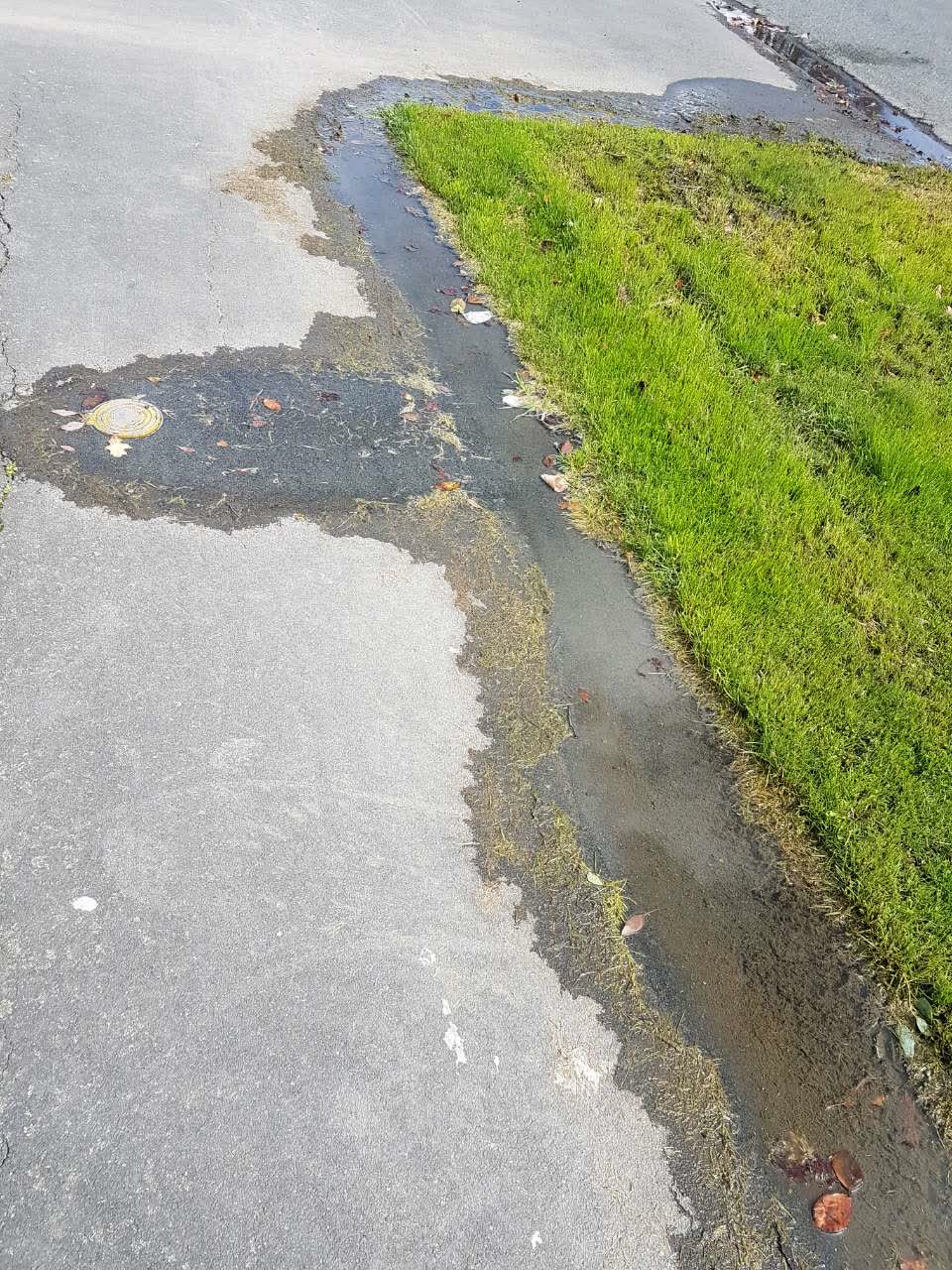 The photograph attached to this water supply report