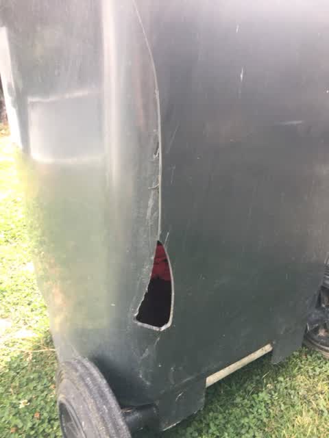 Rubbish/Recycling, a report photo