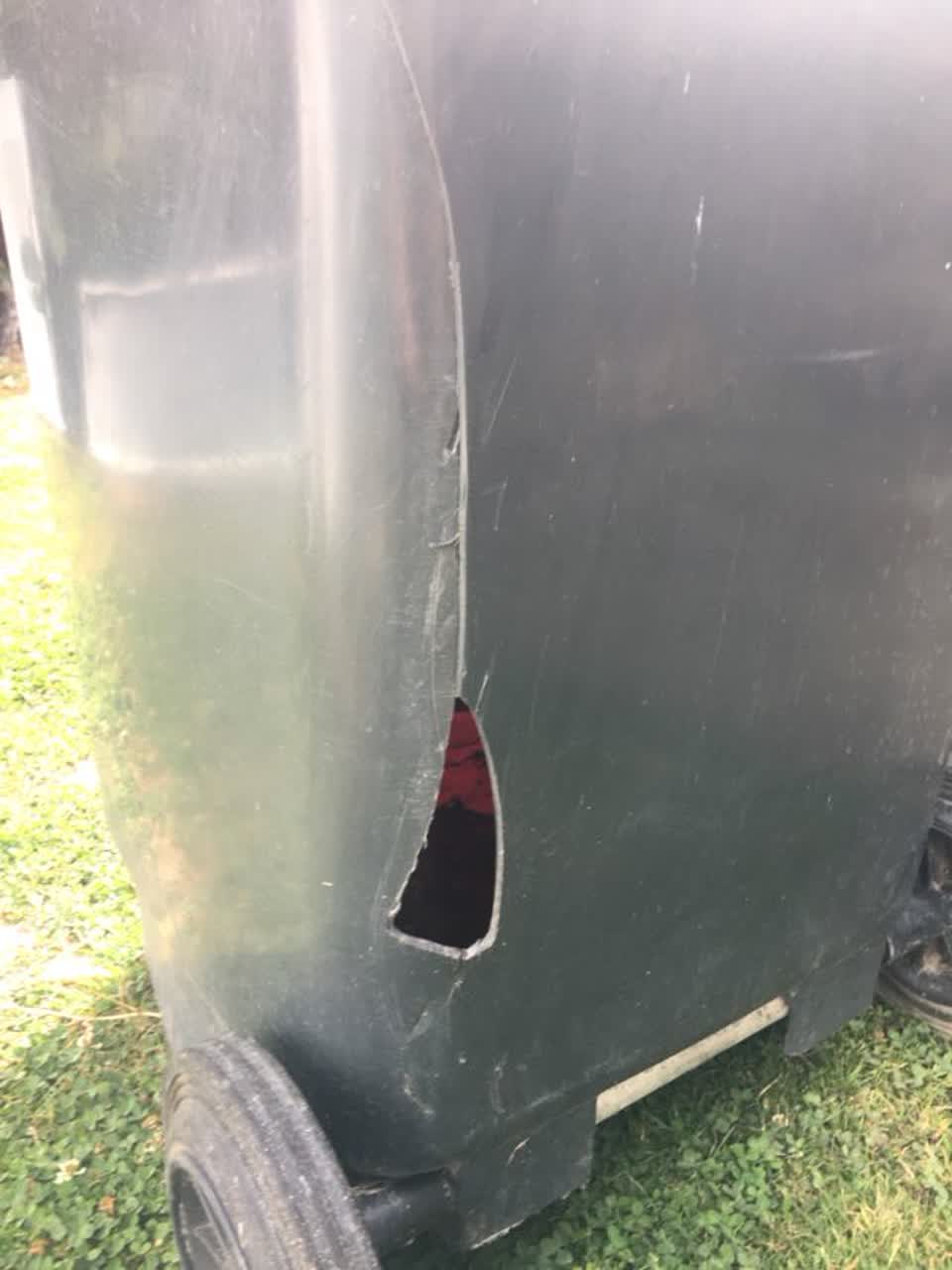The photograph attached to this rubbish/recycling report