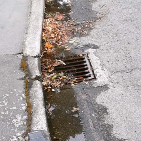 Wastewater/Stormwater, a report photo