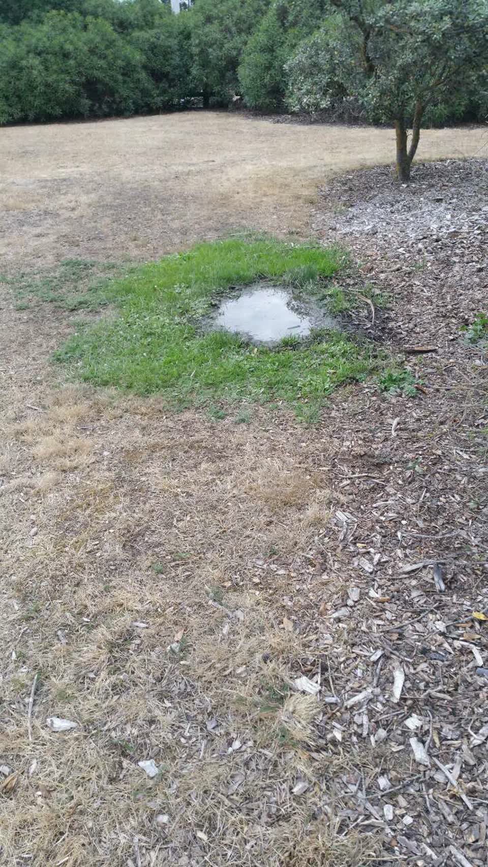 The photograph attached to this water supply report