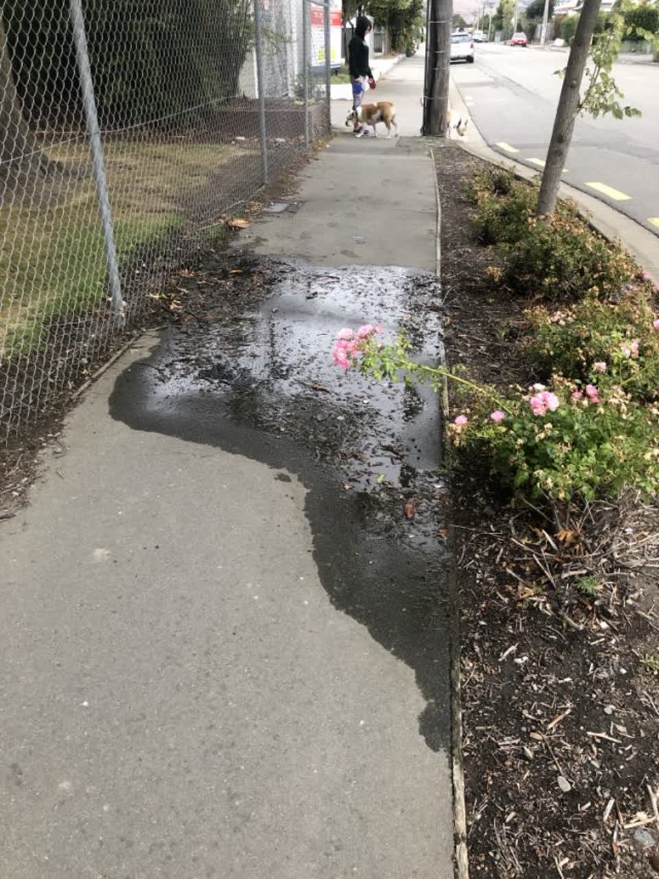 The photograph attached to this water supply report