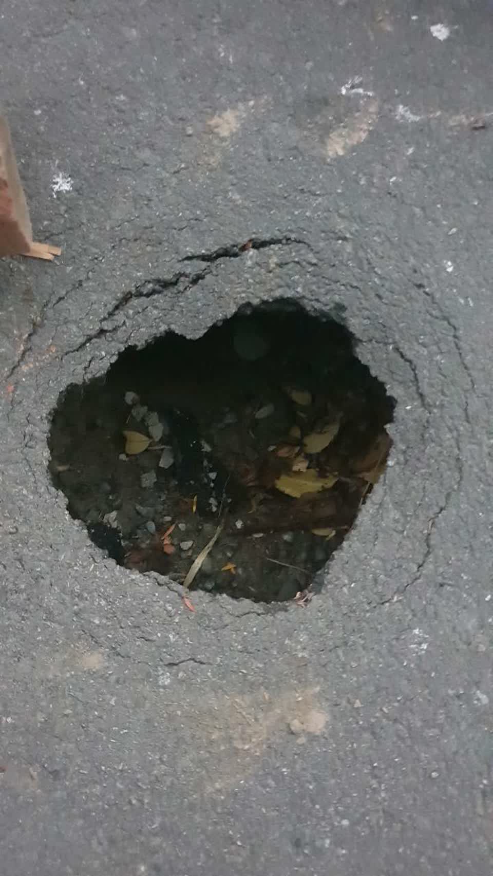 The photograph attached to this roading/streets report