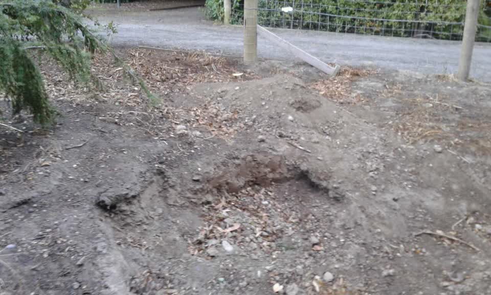 The photograph attached to this parks report