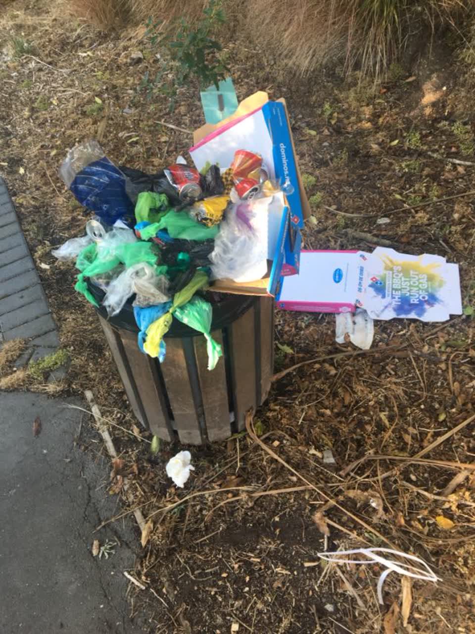 The photograph attached to this rubbish/recycling report