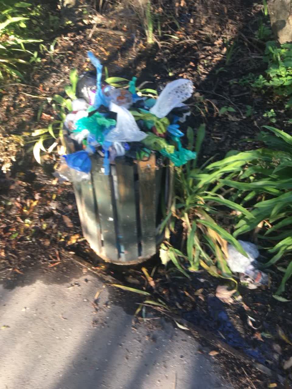 The photograph attached to this rubbish/recycling report