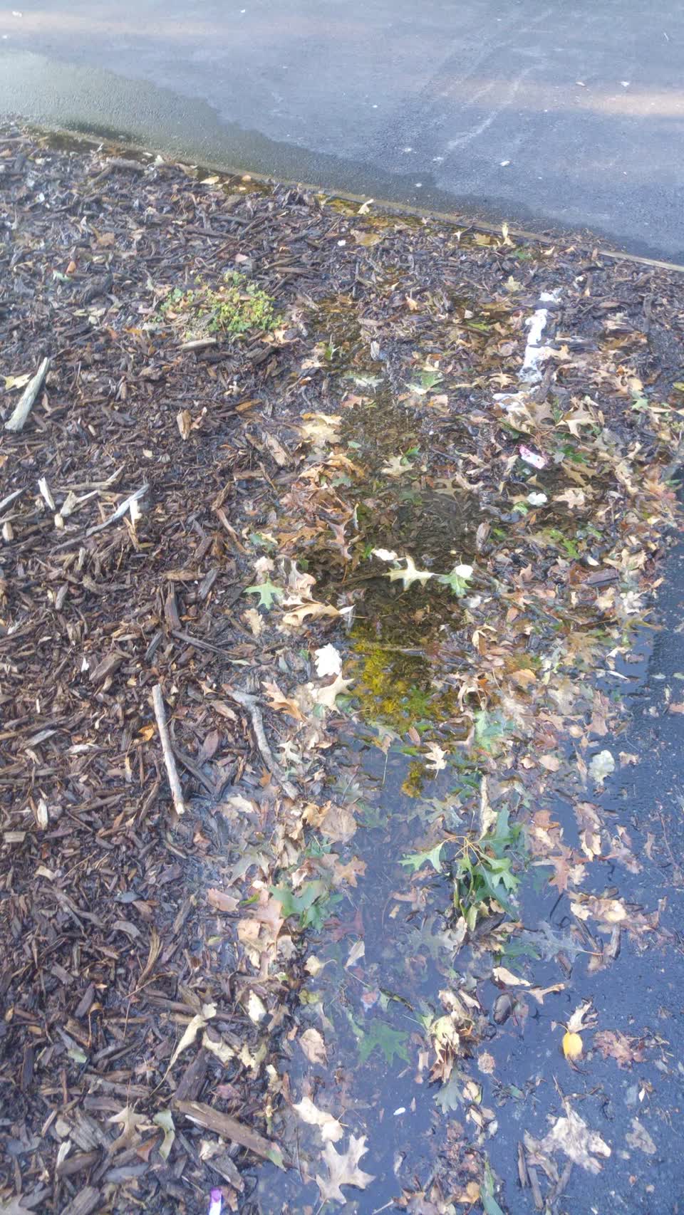The photograph attached to this water supply report