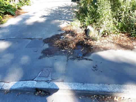 Water Supply, a report photo