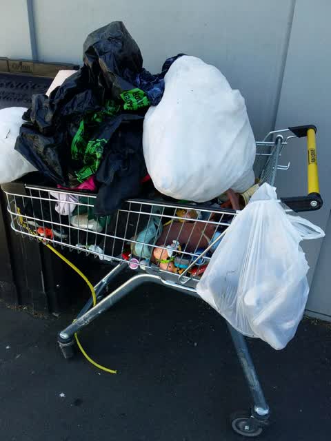 Rubbish/Recycling, a report photo