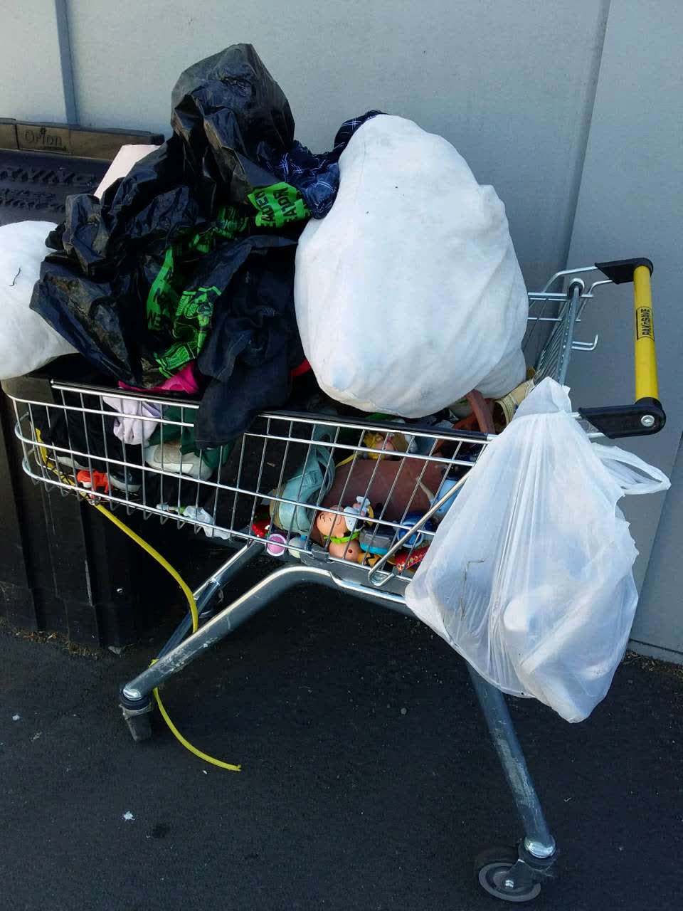 The photograph attached to this rubbish/recycling report