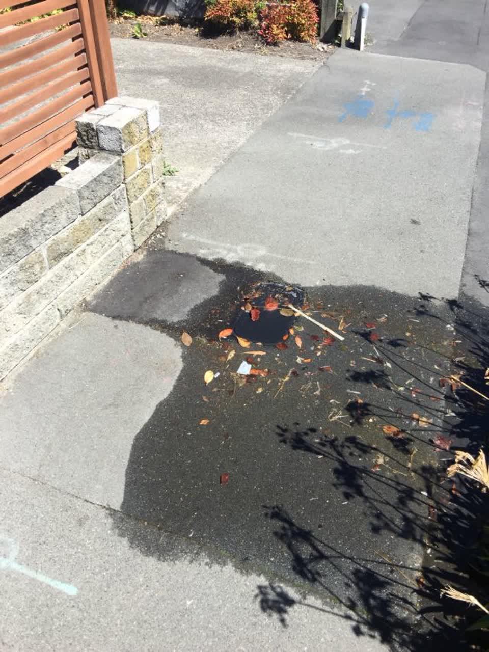 The photograph attached to this water supply report