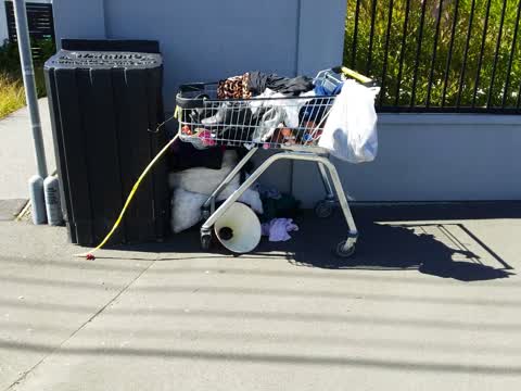 Rubbish/Recycling, a report photo