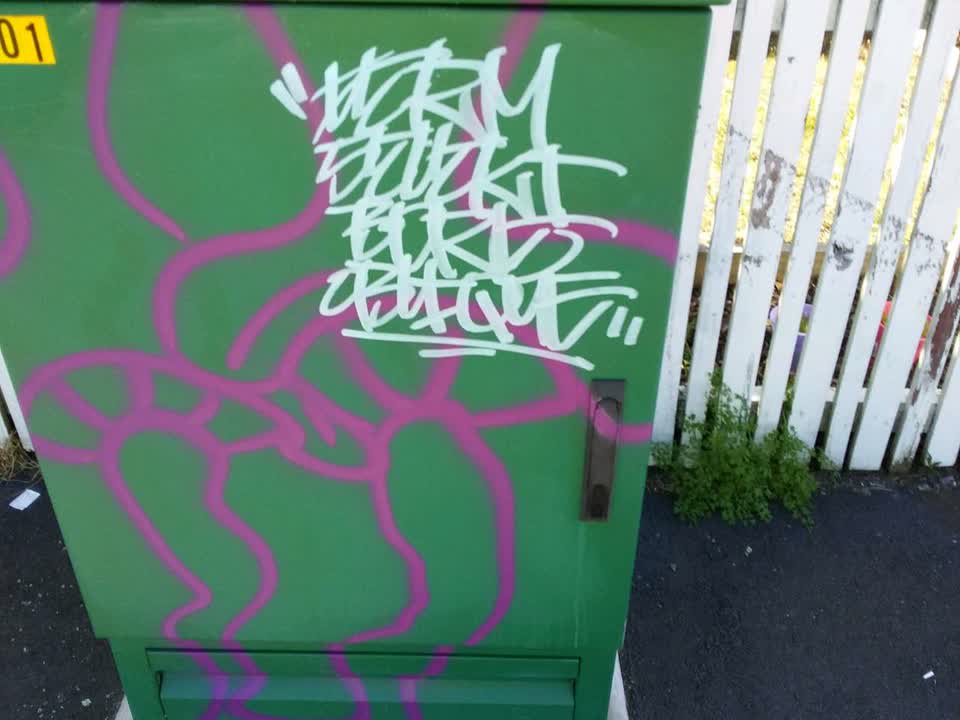 The photograph attached to this graffiti report