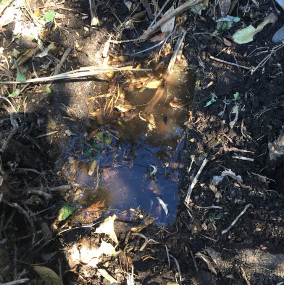 The photograph attached to this water supply report