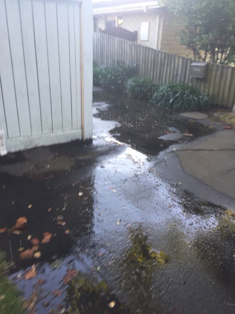 The photograph attached to this water supply report