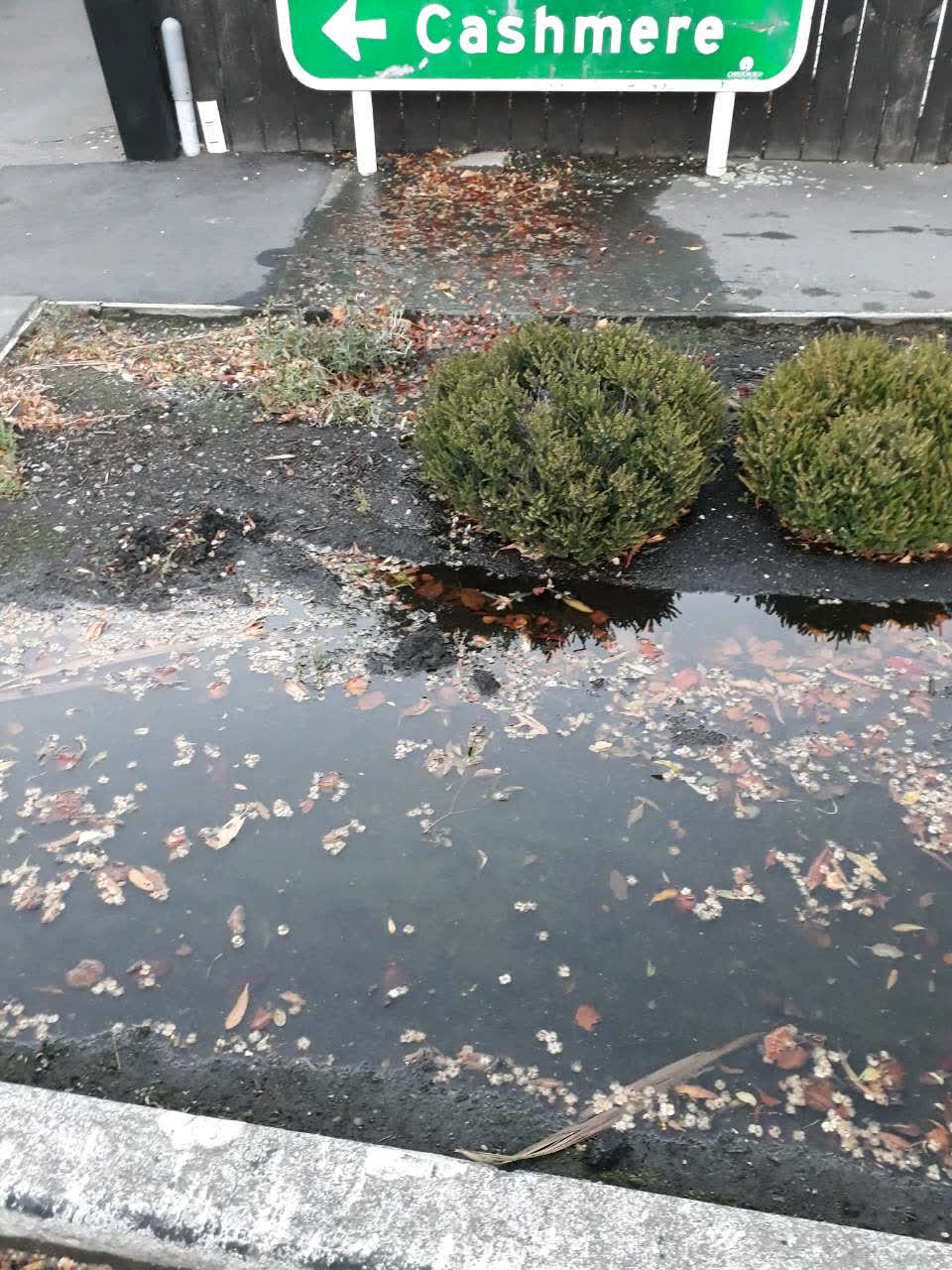 The photograph attached to this water supply report