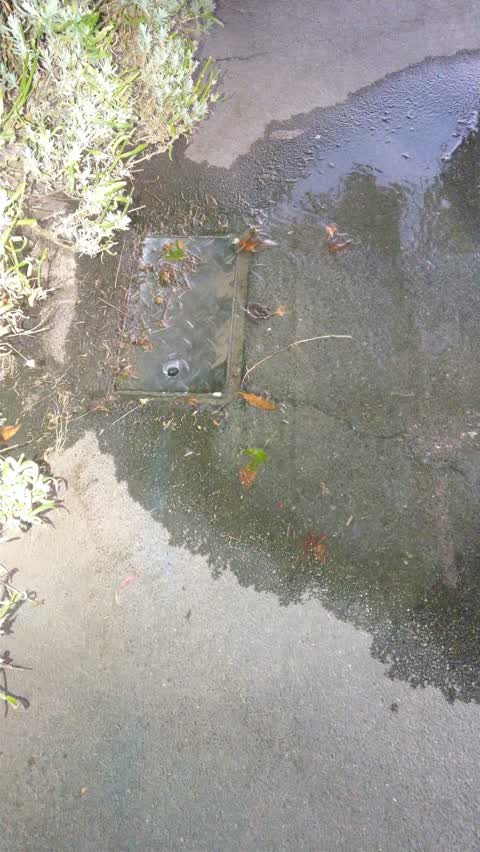 Water Supply, a report photo