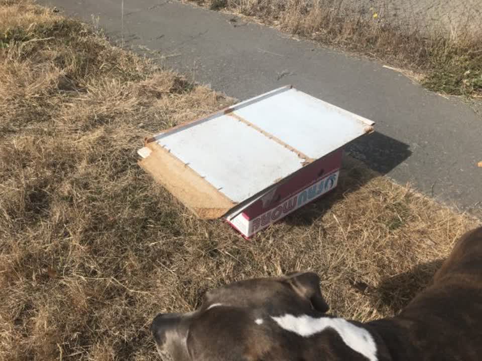 The photograph attached to this rubbish/recycling report
