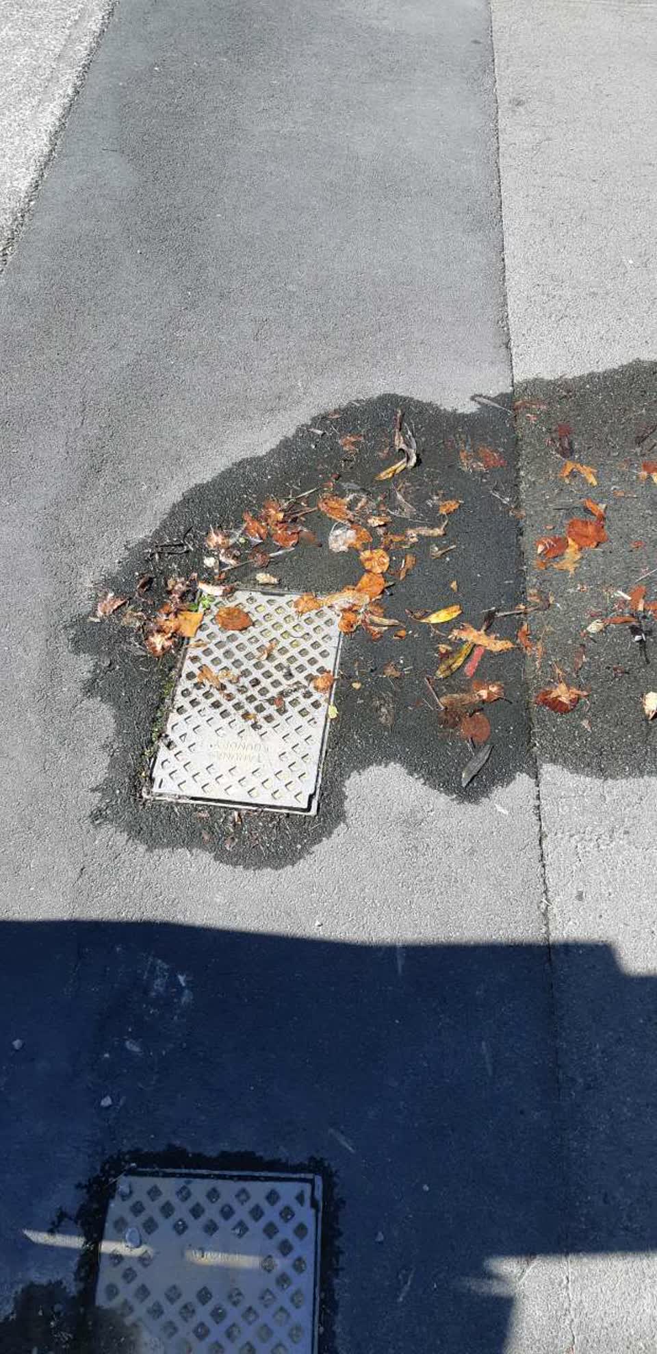 The photograph attached to this water supply report