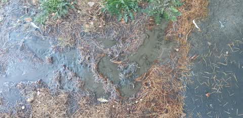 Water Supply, a report photo