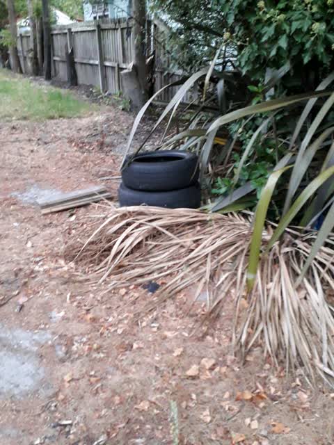 Rubbish/Recycling, a report photo