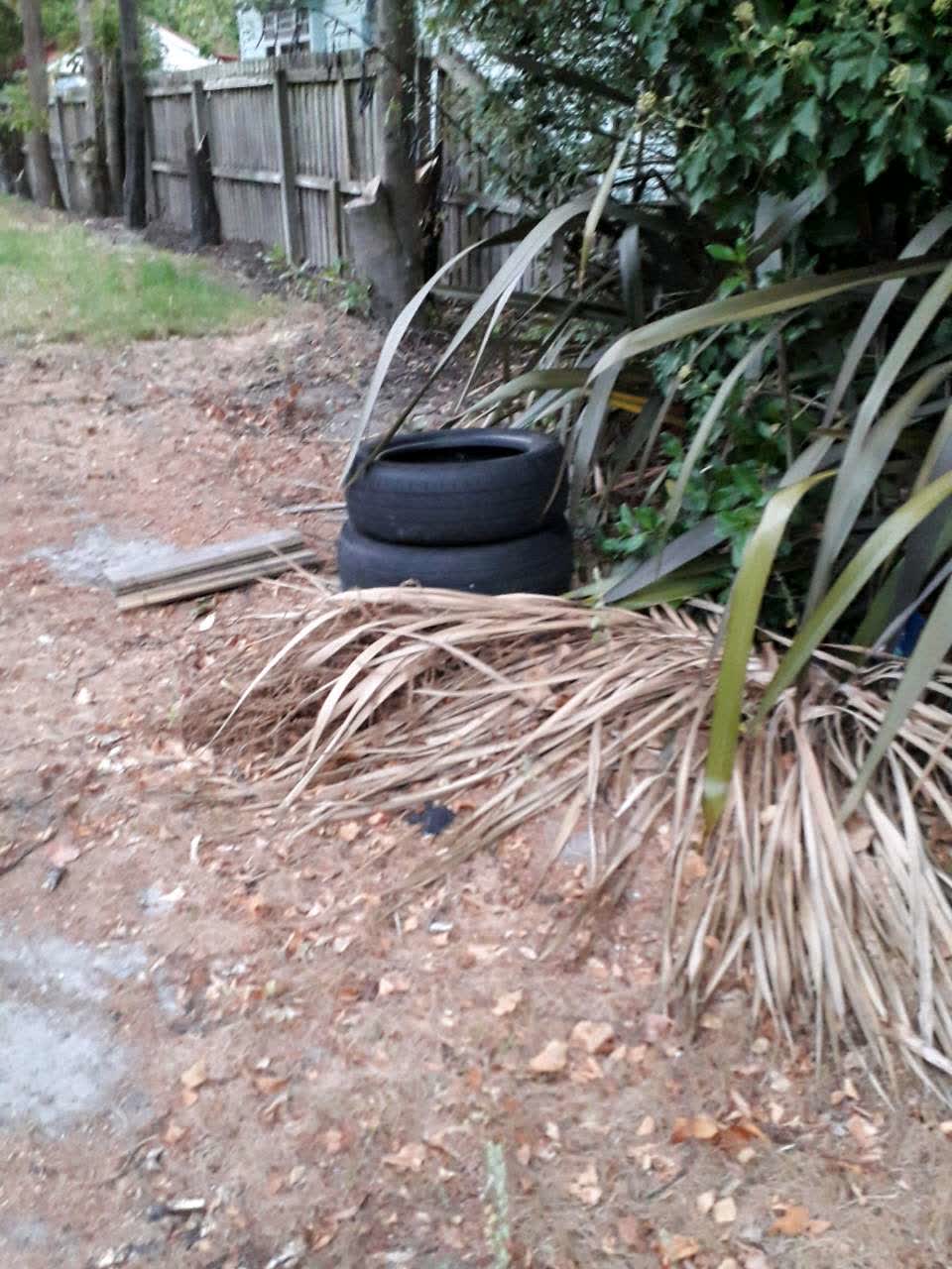 The photograph attached to this rubbish/recycling report