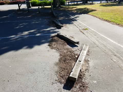 Parks, a report photo
