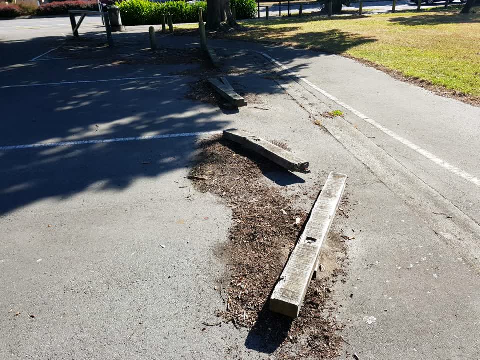 The photograph attached to this parks report