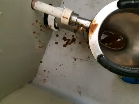 Parks — a report photo