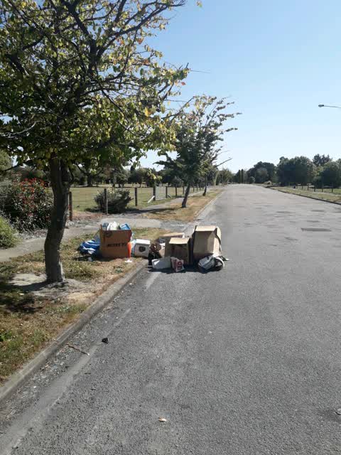 Rubbish/Recycling — a report photo