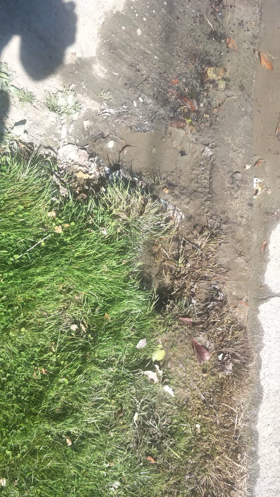 The photograph attached to this water supply report