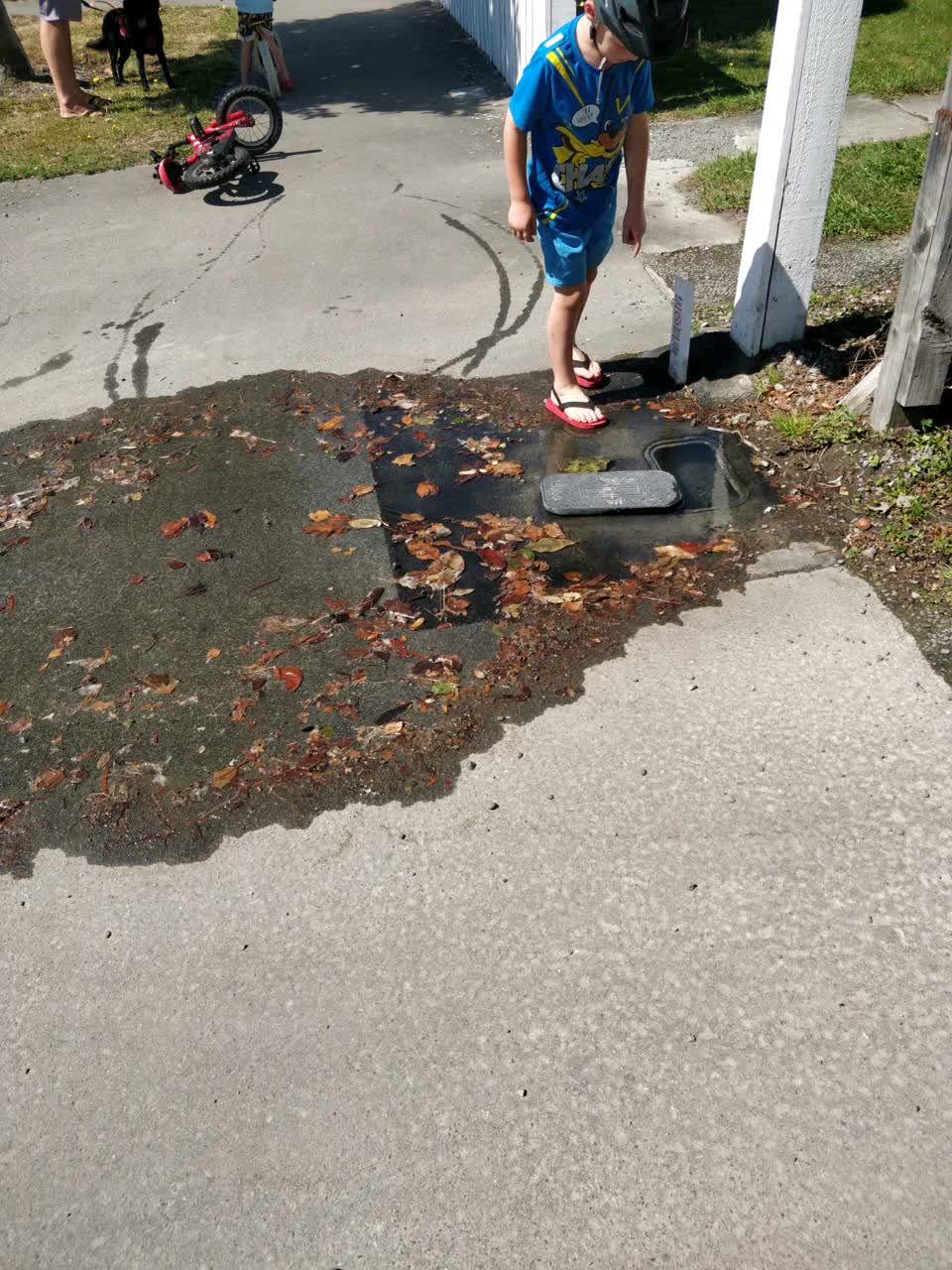 The photograph attached to this flooding report