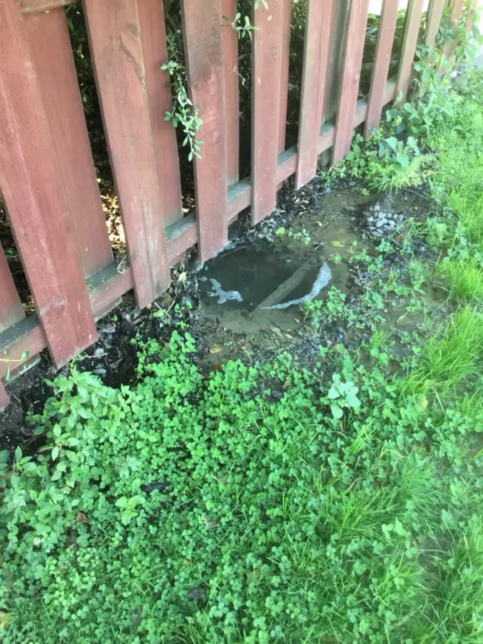 The photograph attached to this water supply report