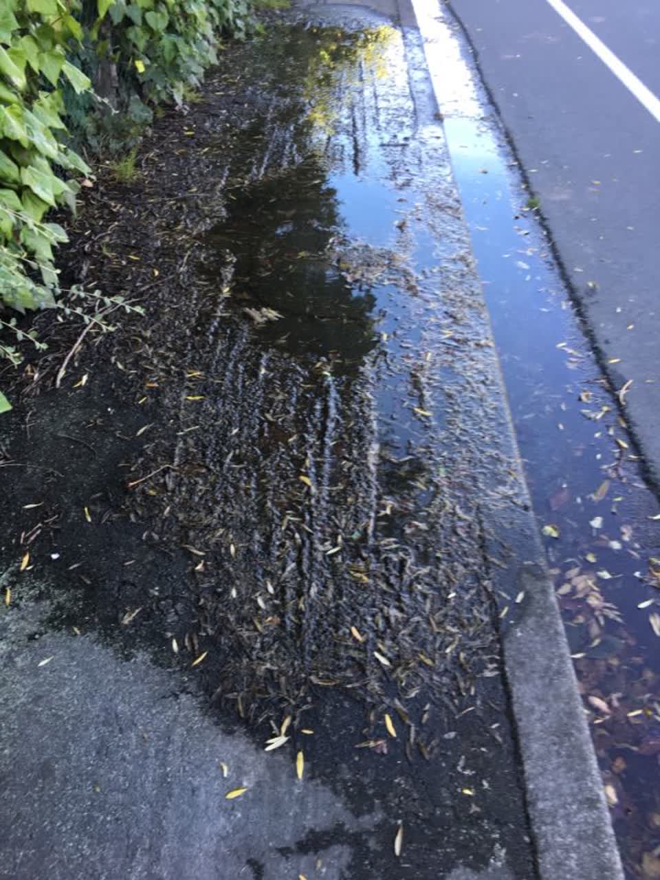 The photograph attached to this flooding report