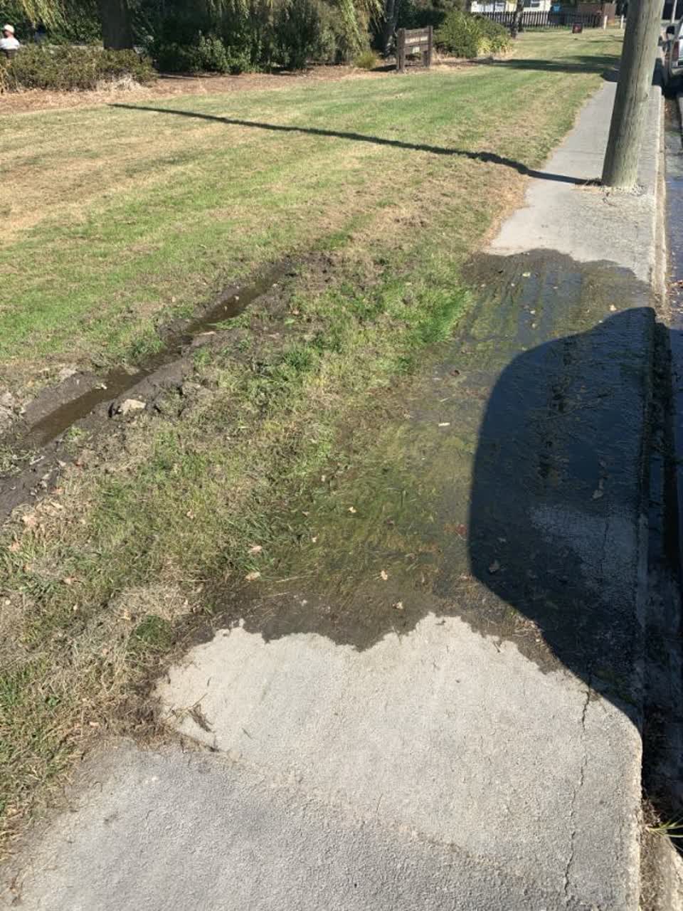 The photograph attached to this flooding report