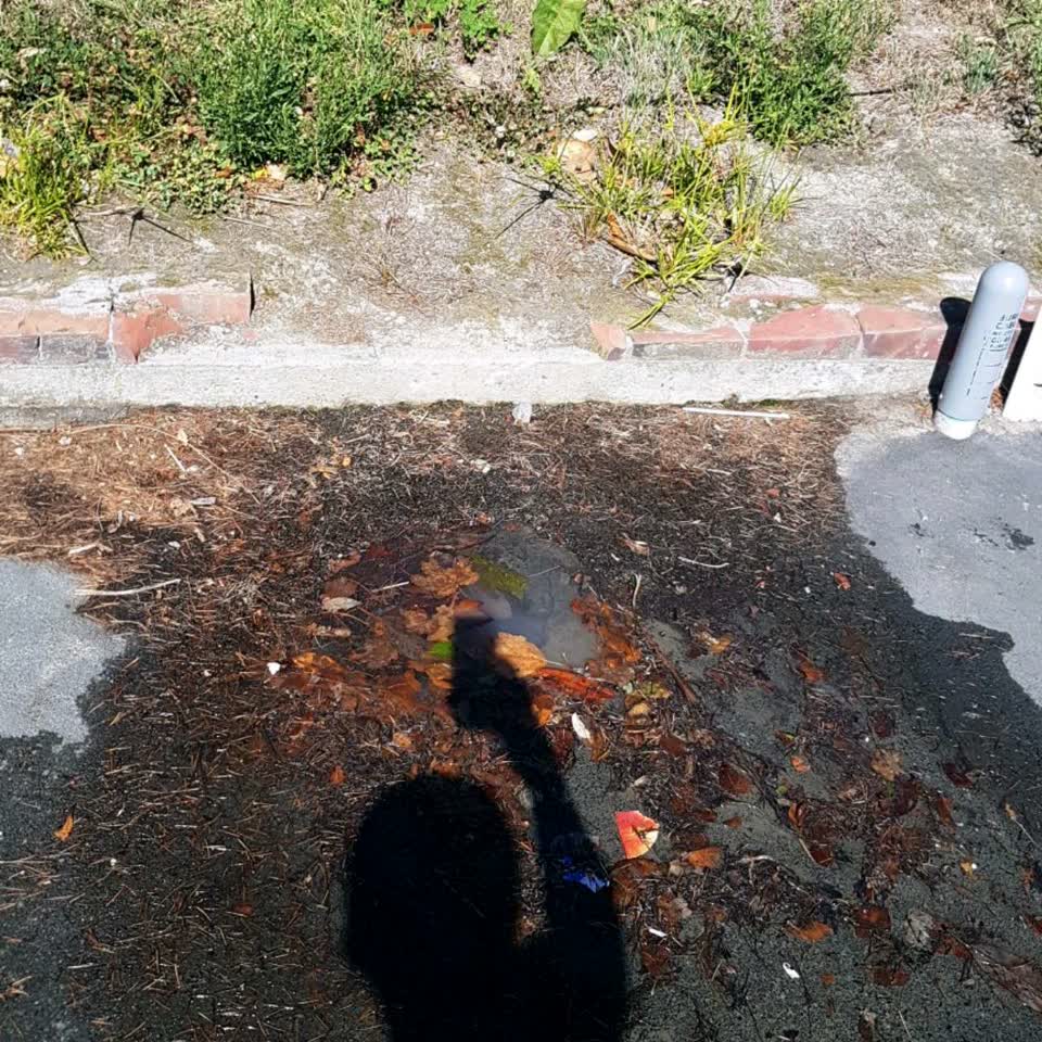 The photograph attached to this water supply report