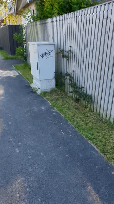 Graffiti, a report photo