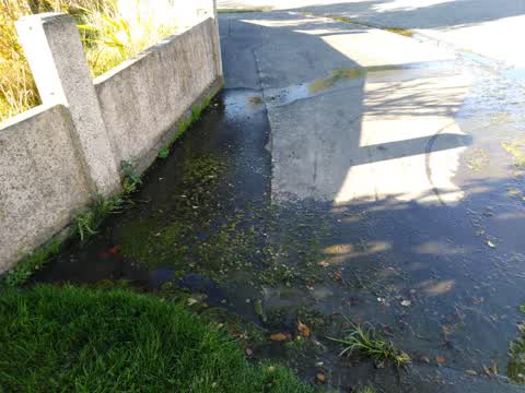 Water Supply, a report photo