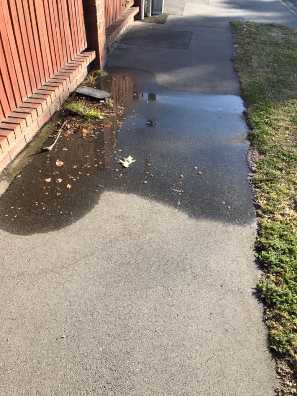 The photograph attached to this water supply report