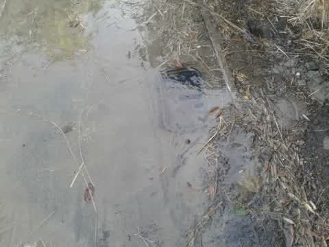 Water Supply, a report photo