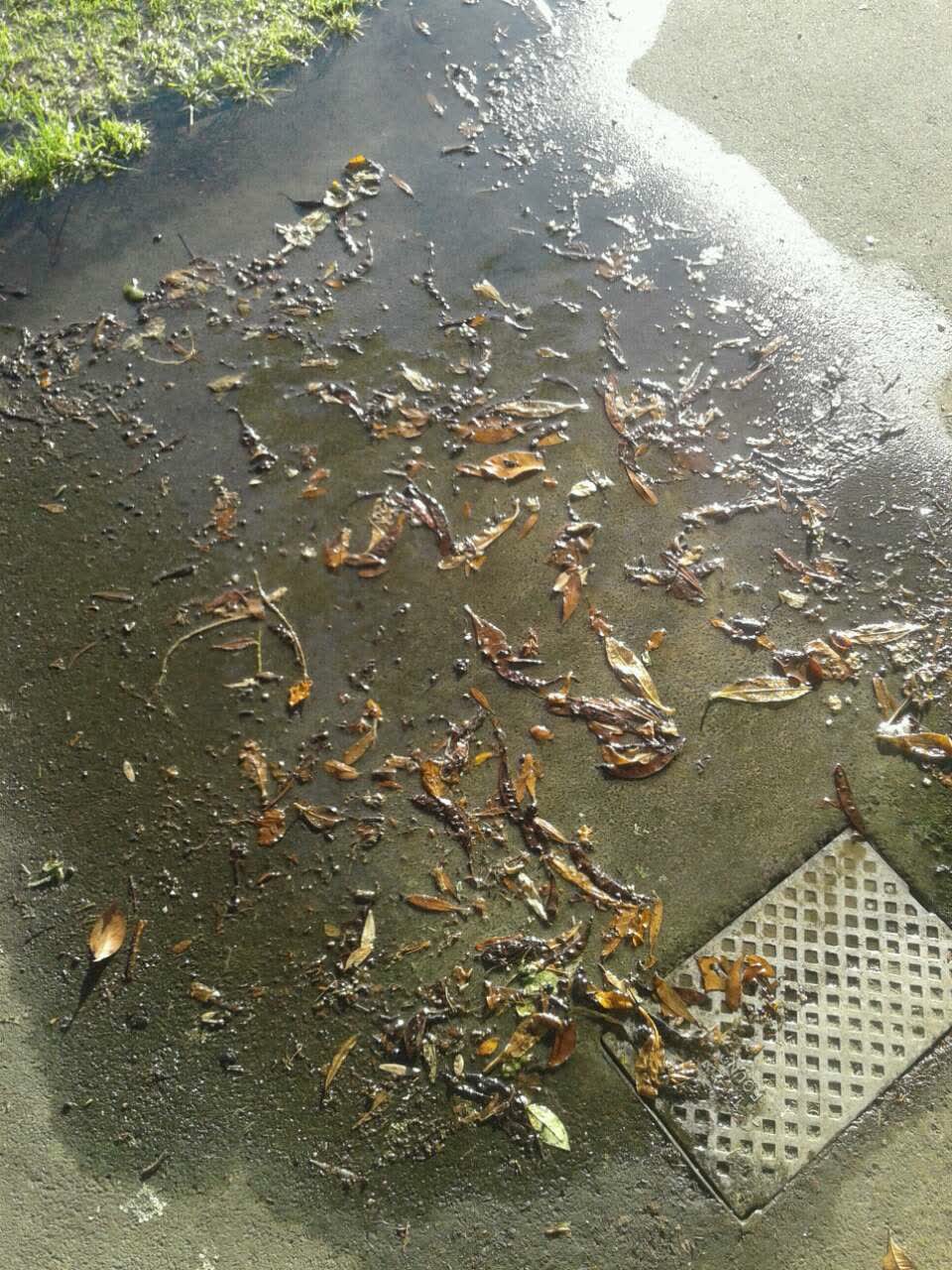The photograph attached to this water supply report