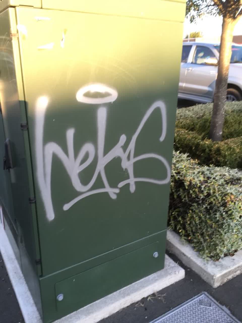 The photograph attached to this graffiti report