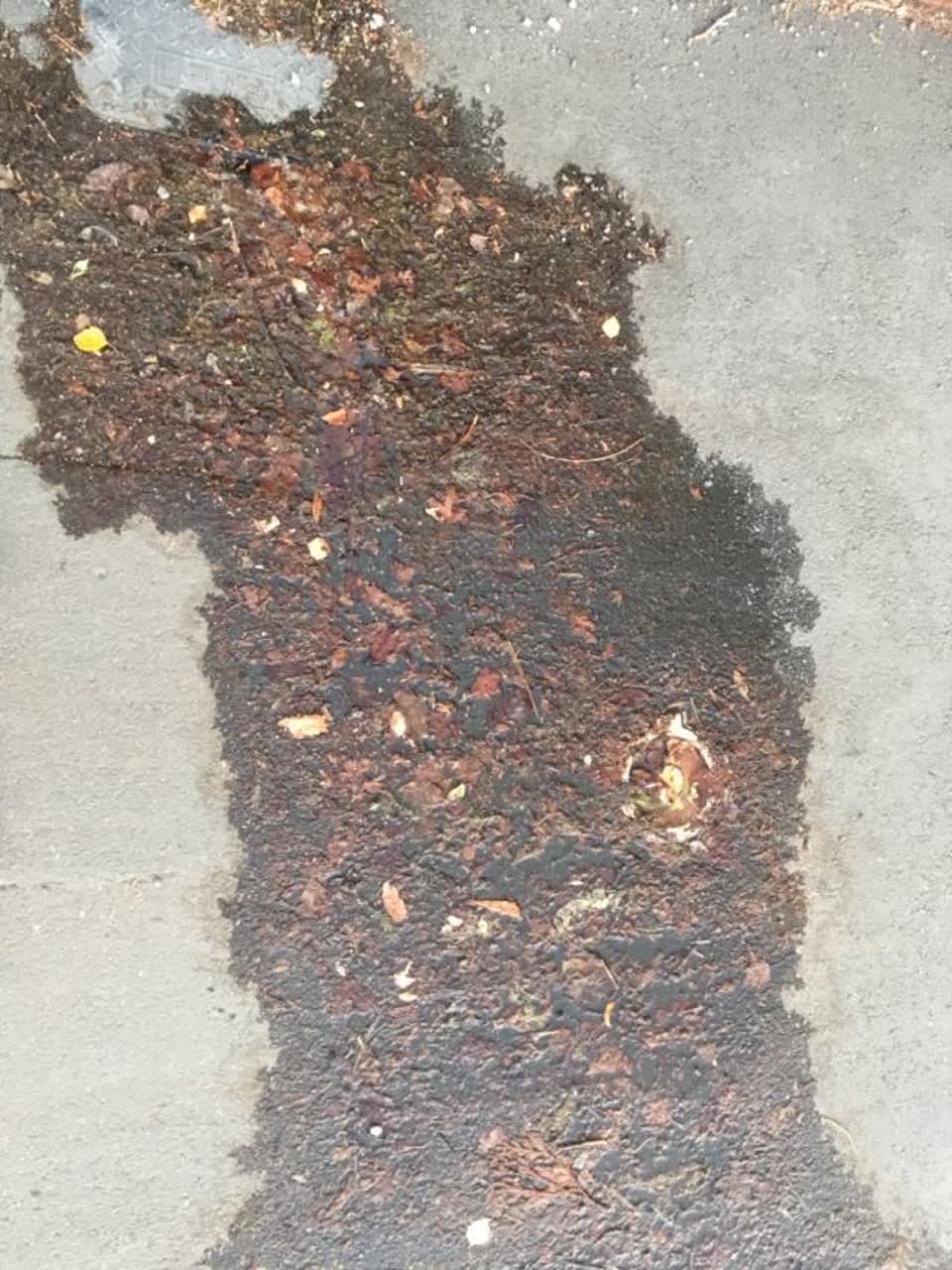 The photograph attached to this water supply report