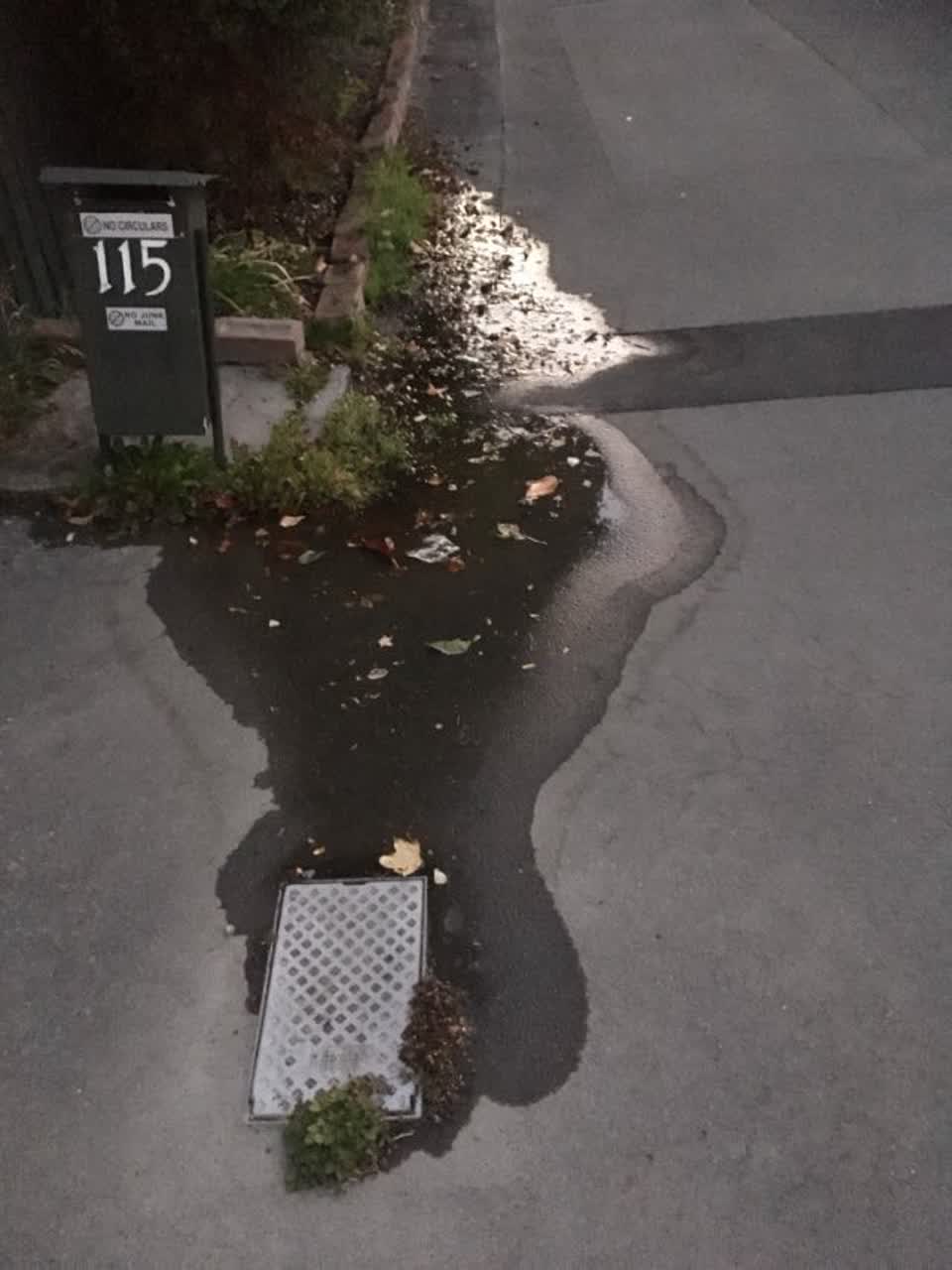 The photograph attached to this water supply report