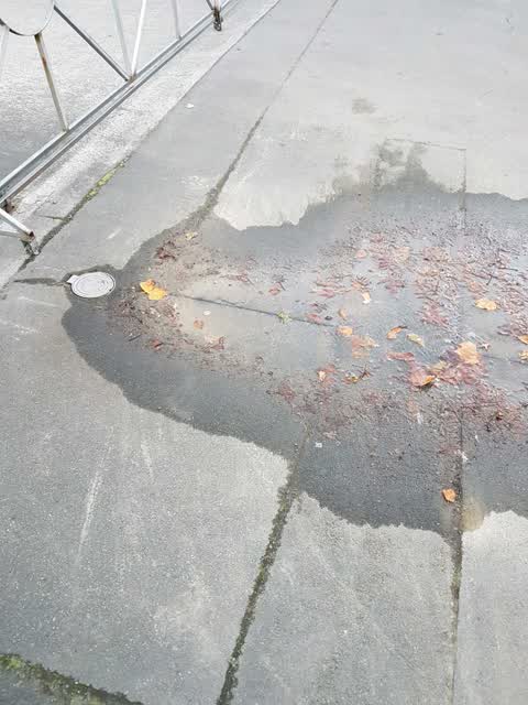 Water Supply, a report photo