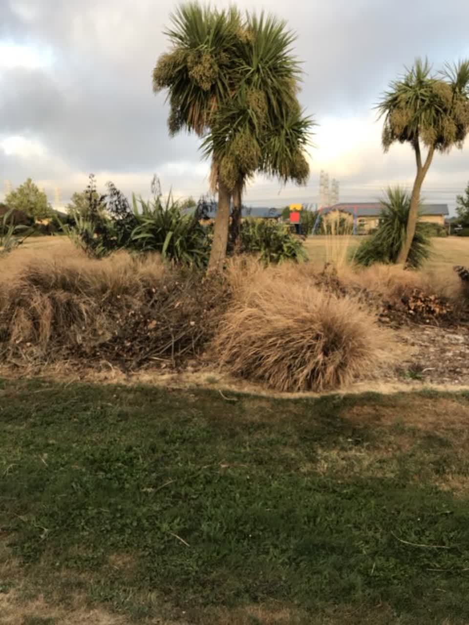 The photograph attached to this parks report