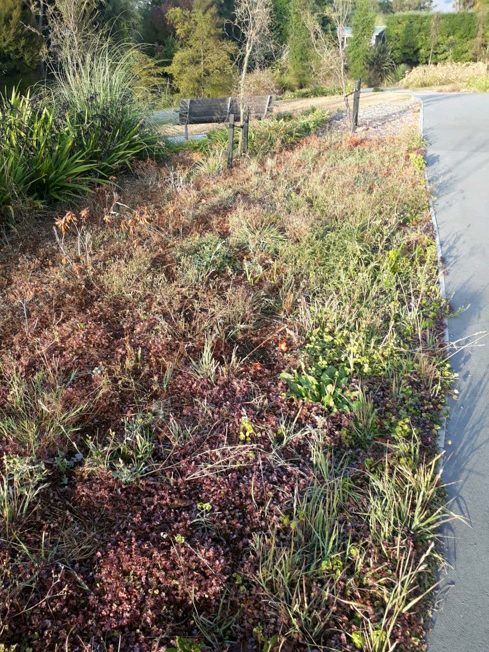 The photograph attached to this parks report